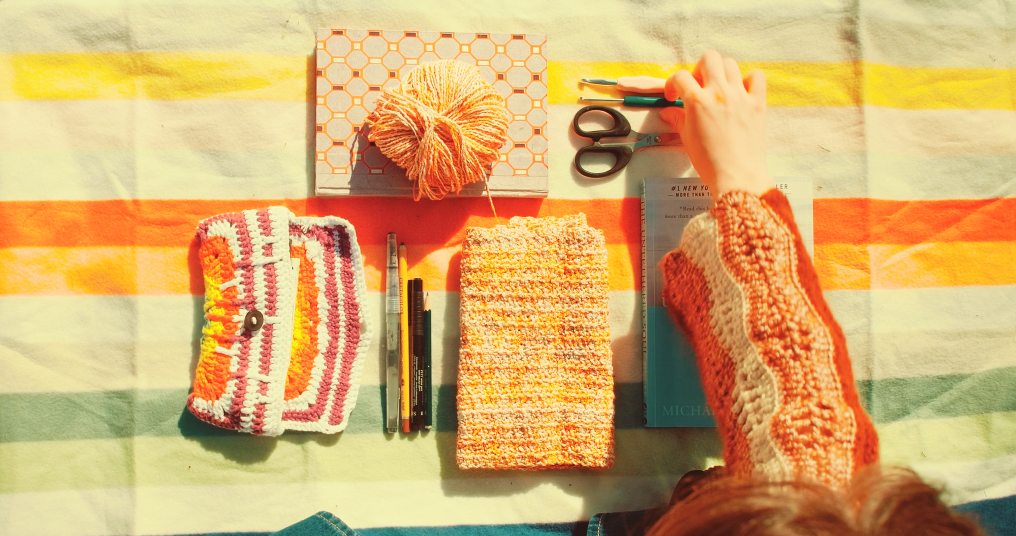 Das Picknick Thumbnail